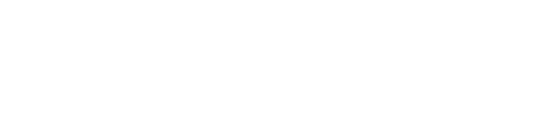 AI PLAN Logo